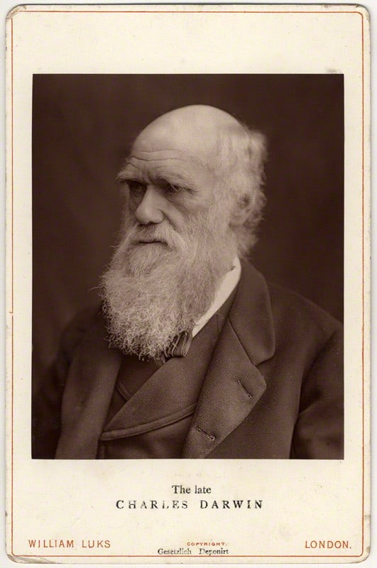 Charles darwin theory of natural selection essay