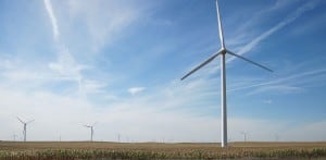 A field of wind turbines located west of Williams, Iowa Source: Wikimedia Commons