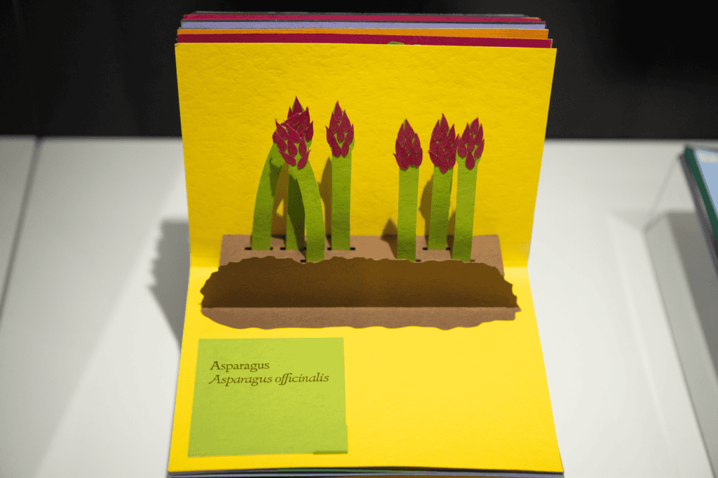 Vibrant green and pink paper aspargus stalks made of paper pop out of a brown paper ground against a bright yellow background in this pop-up book about vegetables.