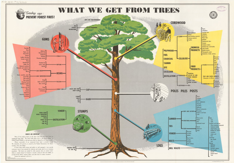 What we get from trees (1978) | U.S. Government Posters Collection