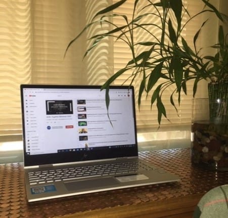 Open laptop computer with webpage loaded sitting on desk next to green leafy plant, closed window shades in background