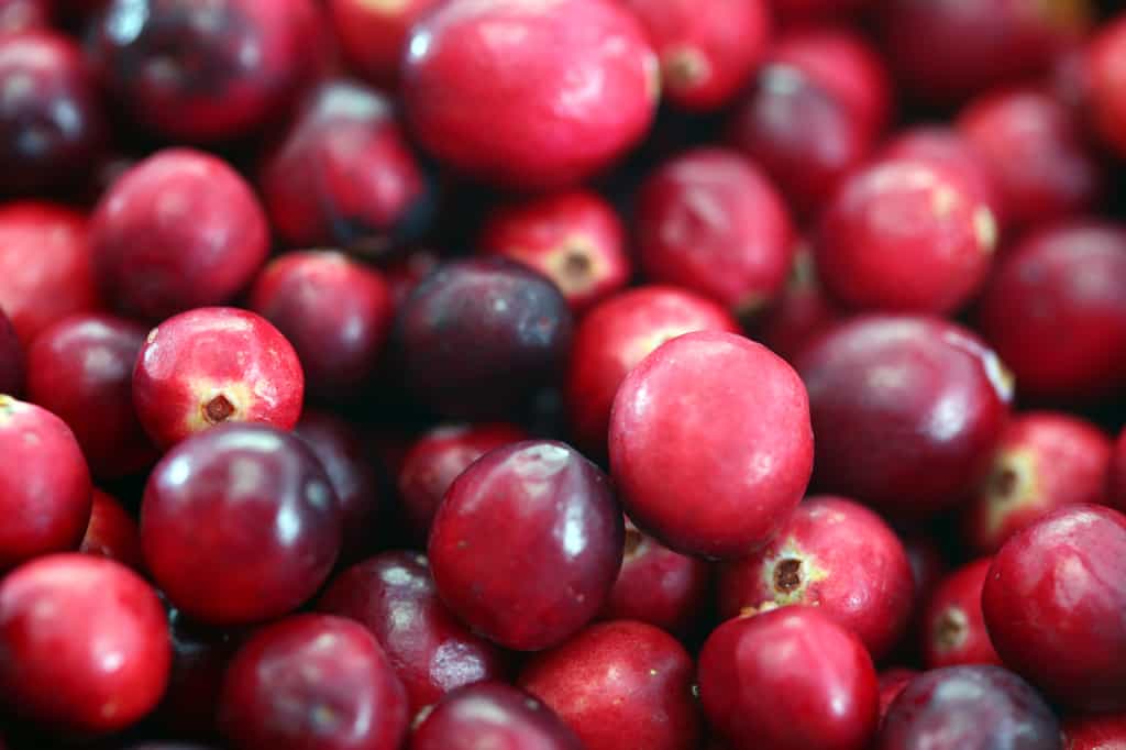 cranberries