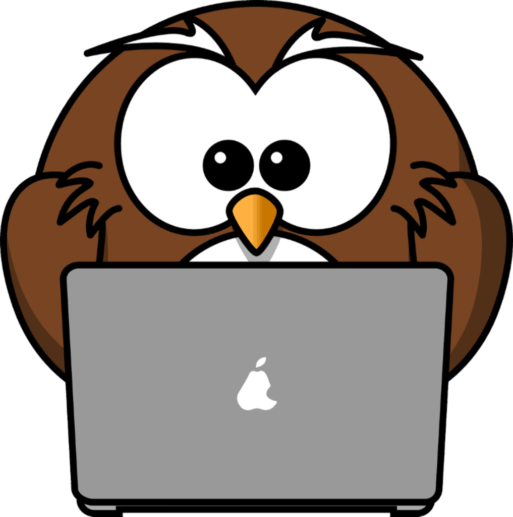 usability_owl