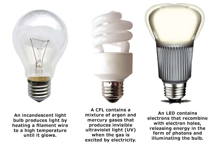 You Light Up My Life For Earth Month Lichtenberger Engineering