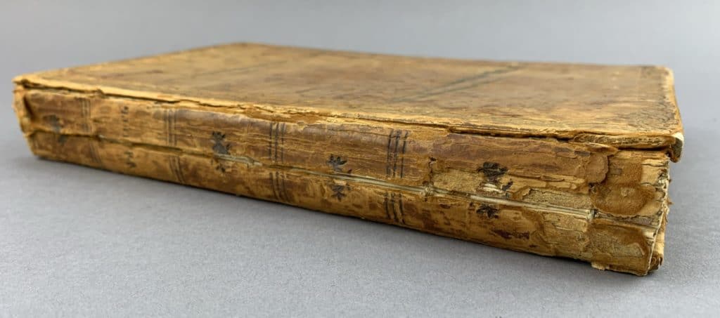 Before photo of the psalter's spine. It is cracked and flaking.