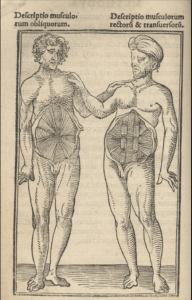 picture from anatomy book