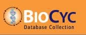dna helix & biocyc logo