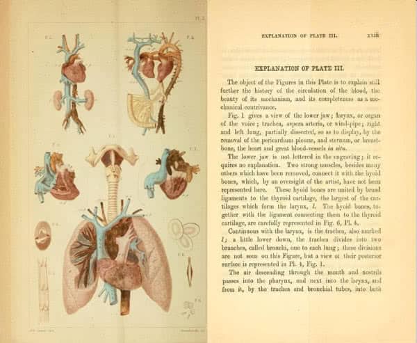 medical images in color