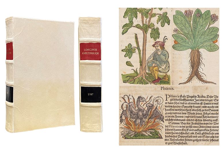 image of book bound in vellum and page with phoenix plant, man eating it and vomiting