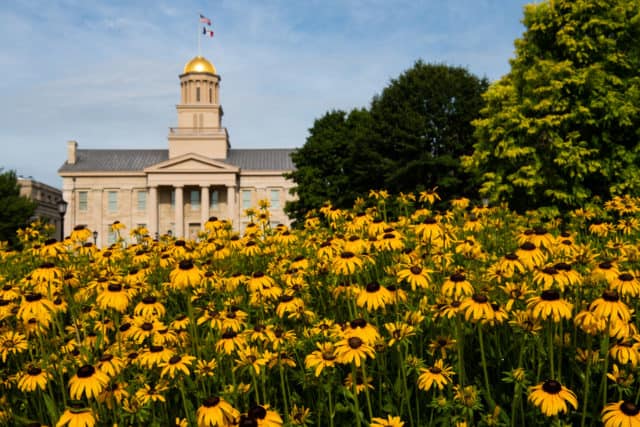 black eyed susan flowers in front of old capital building