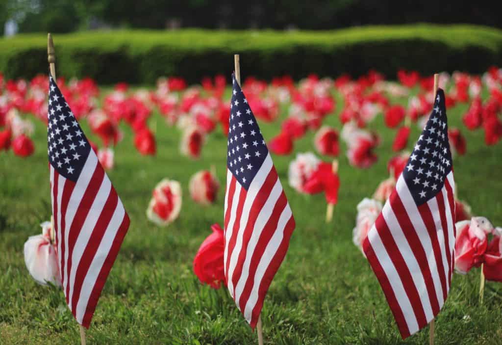 American flags and paper poppies in grass field, possibly cemetary