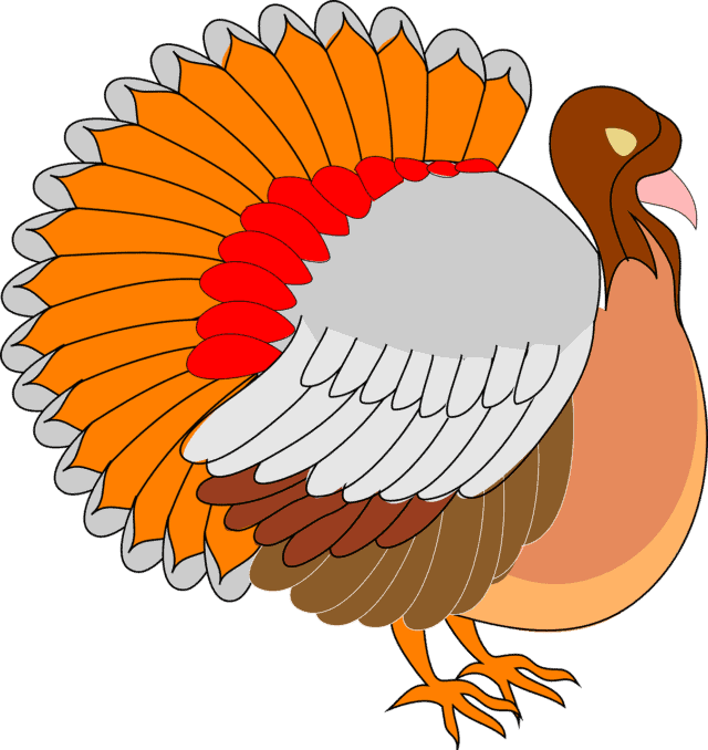 cartoon turkey