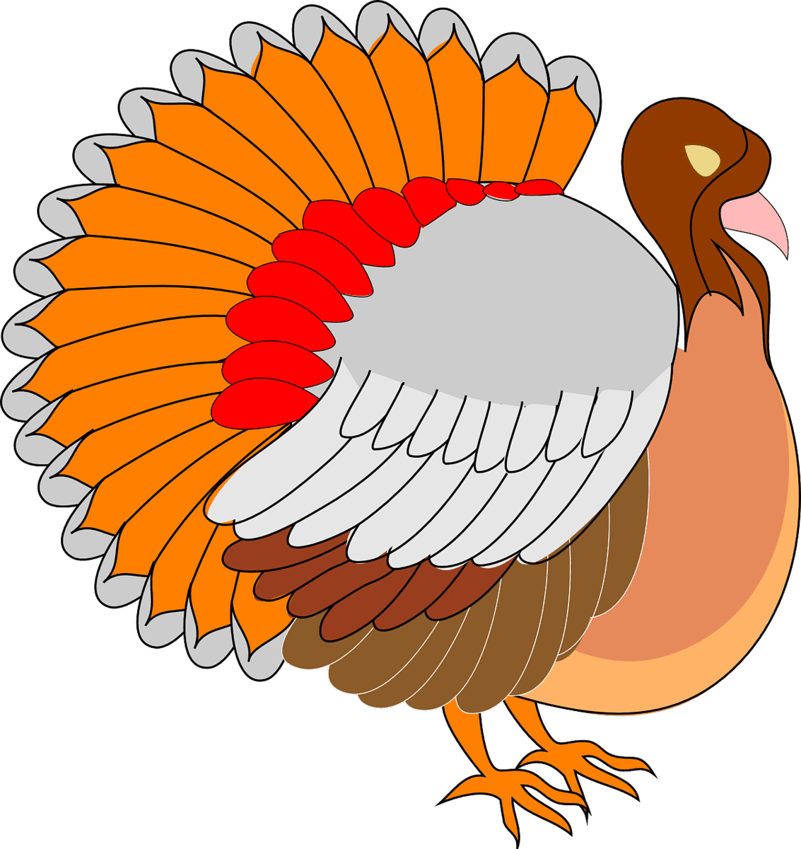 cartoon turkey
