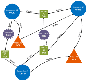 Diagram showing how 3 researchers with ORCIDs create datasets with DOIs, using cell lines with RRIDs, writing articles with DOIs. 