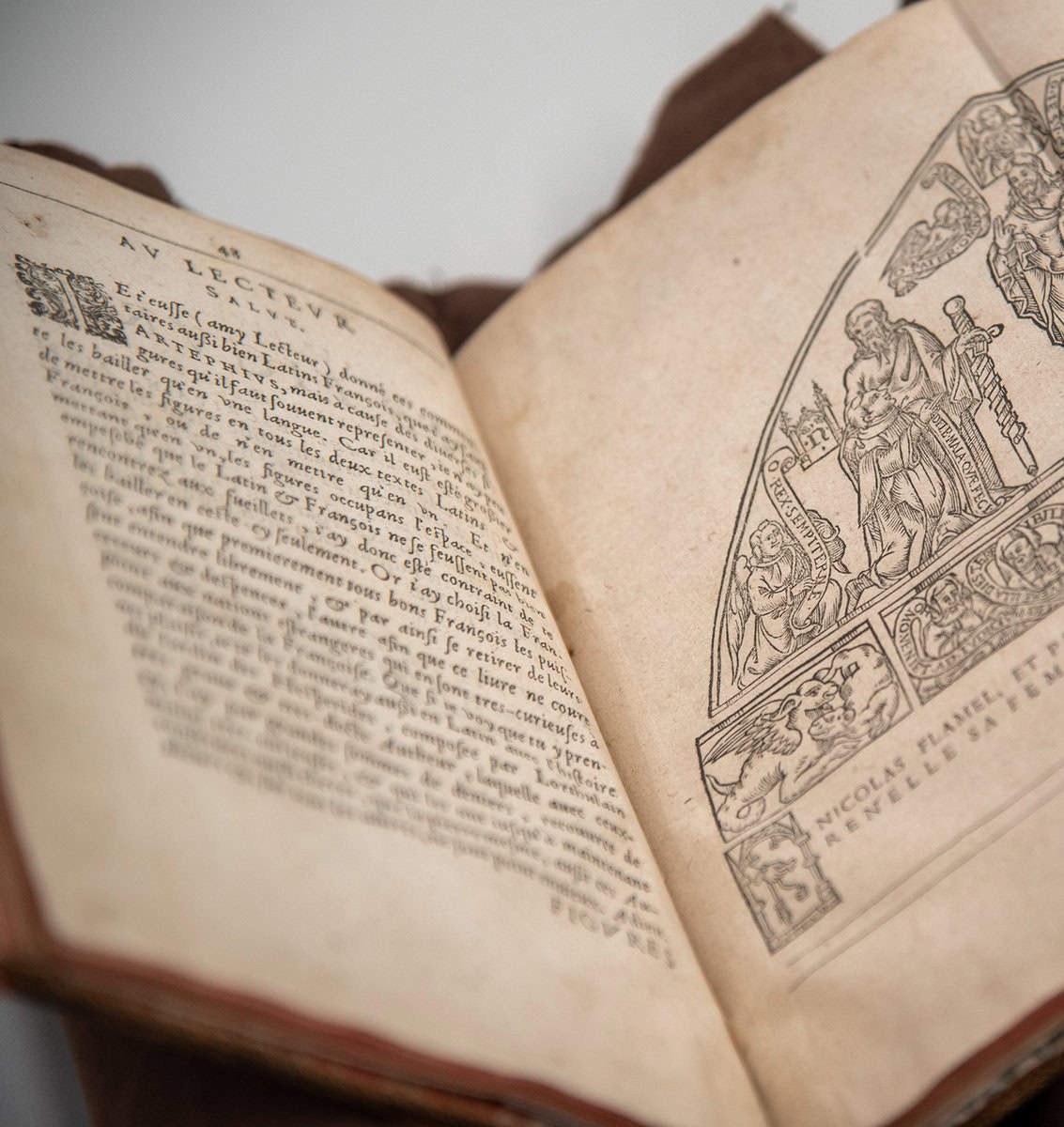Hardin Library for the Health Sciences celebrates 50 years with major ...