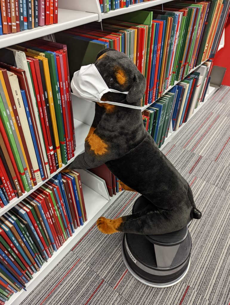 wulfie explores the Music Library stacks for new music