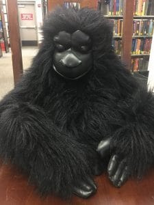 Chauncey, the Sciences Library mascot