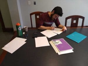 Student studying at the Sciences Library