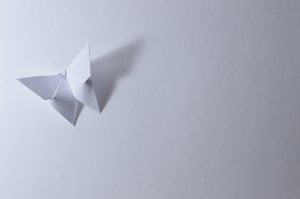 Origami butterfly