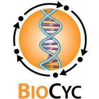 Image of BioCyc logo