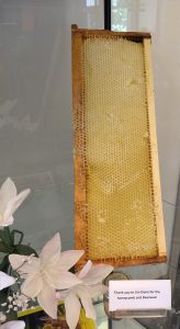 image of honeycomb