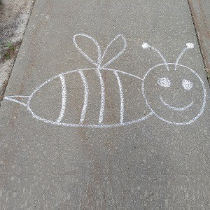 Chalk drawing of bee on the sidewalk