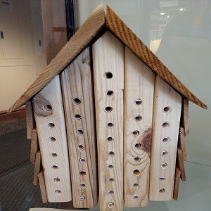 Picture of wooden bee house