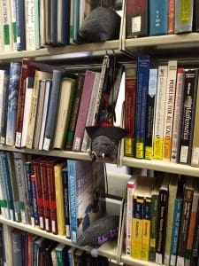 Plush mole hidden among bookstacks