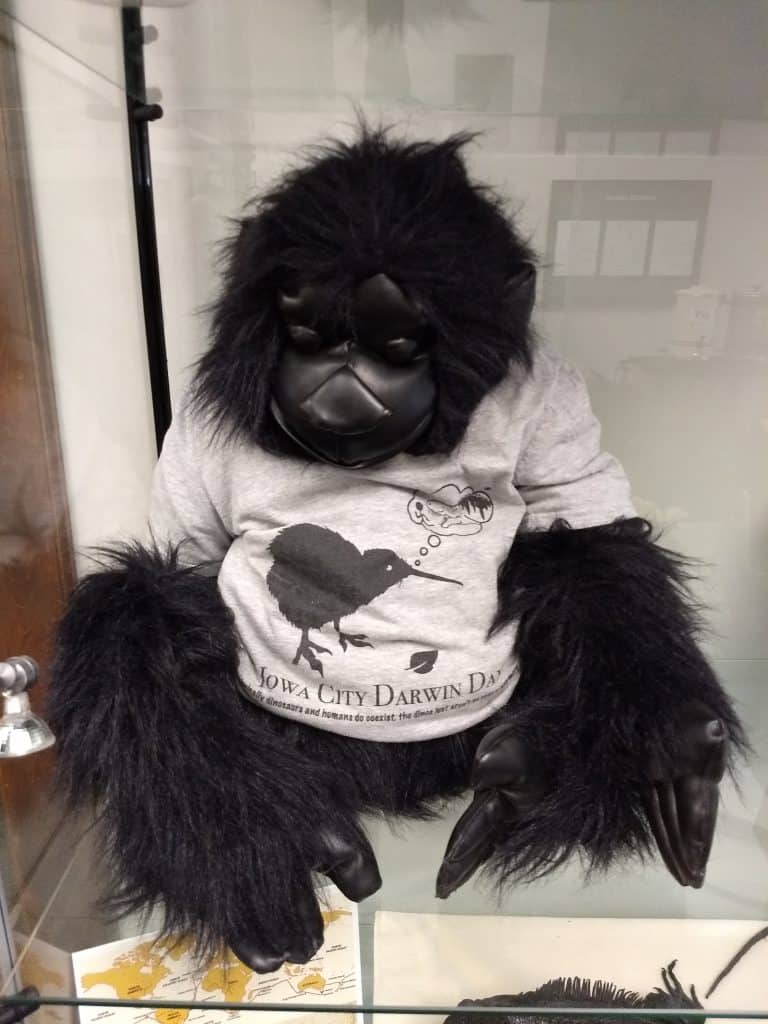 Image of Chauncey wearing Iowa City Darwin Day t-shirt