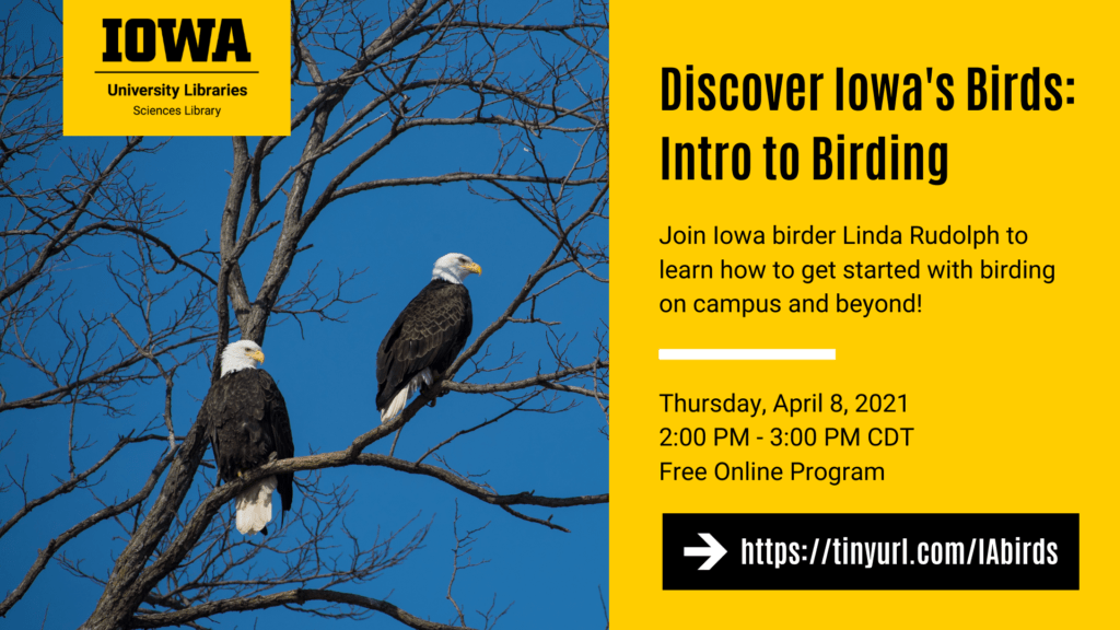 Discover Iowa's Birds: Intro to Birding. Join Iowa birder Linda Rudolph to learn how to get started with birding on campus and beyond! Thursday, April 8, 2021. 2:00 PM - 3:00 PM CDT. Free Online Program. https://tinyurl.com/IAbirds 