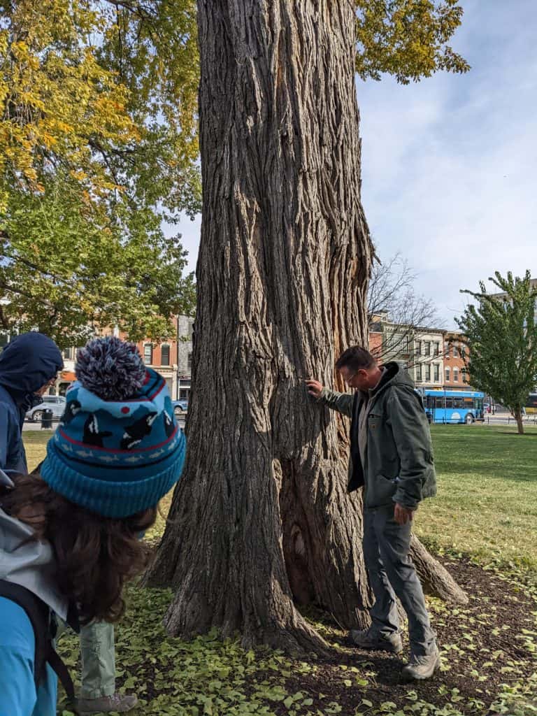 Image of person standing in front of tree trunk