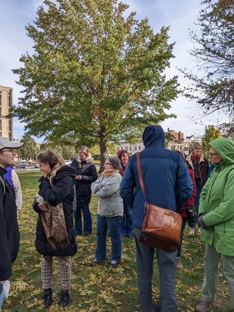 Image of tree and people outside