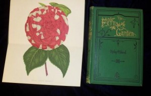 Fern book cover and flower illustration