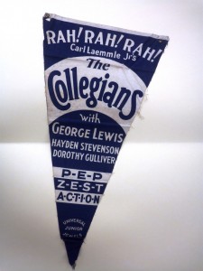 Fabric Banner for "The Collegians"