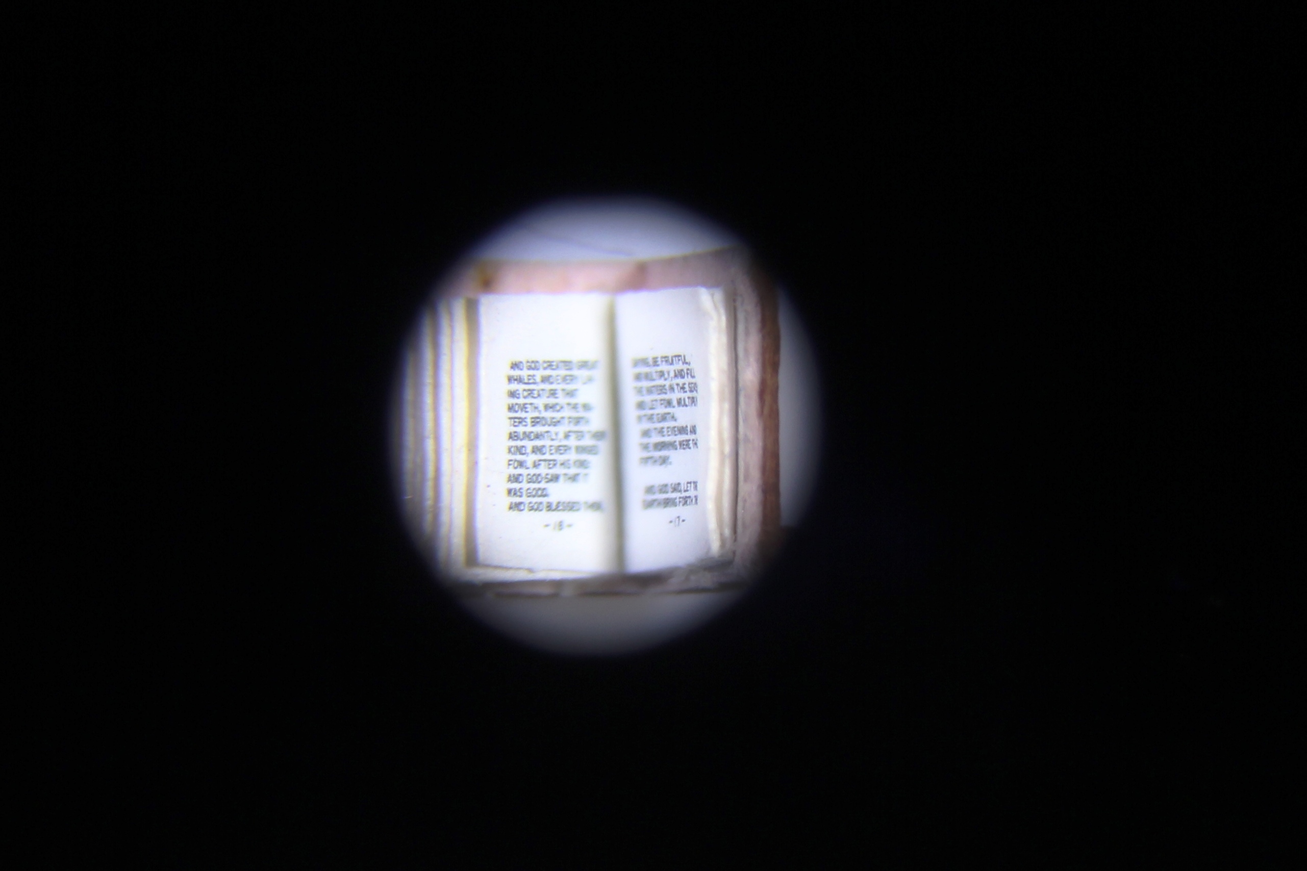 Text viewed under the microscope