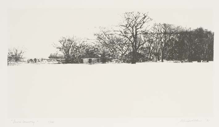 Snow country by Adrian van Suchtelen, 1981 | University of Iowa Museum of Art Digital Collection