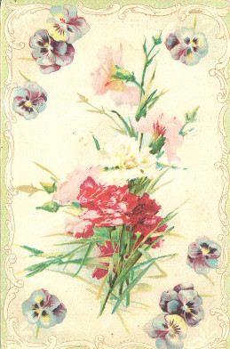 Floral postcard, 1910s | Noble Photographs