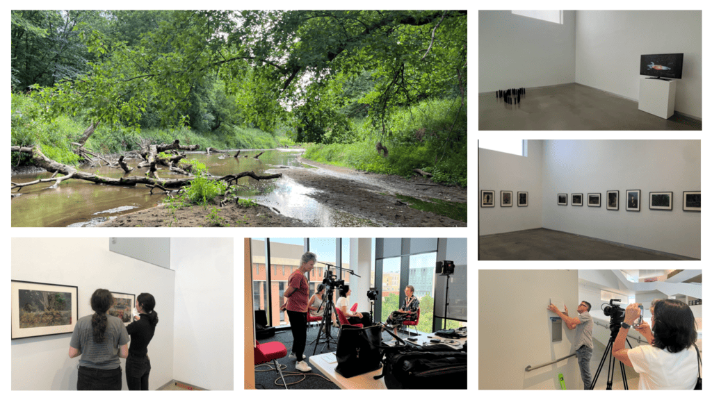 Photos depicting a river, art gallery, and artists interviews. 