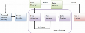 Data Life Cycle