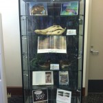 Crocodile case